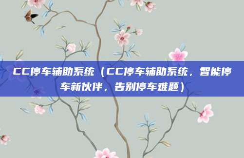 CC停车辅助系统（CC停车辅助系统，智能停车新伙伴，告别停车难题）