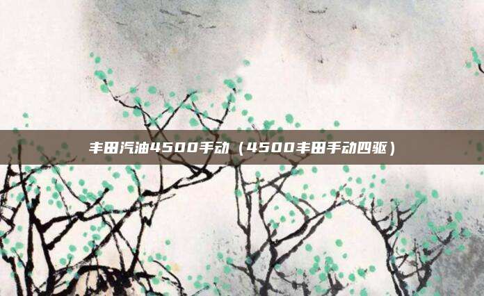 丰田汽油4500手动(4500丰田手动四驱)