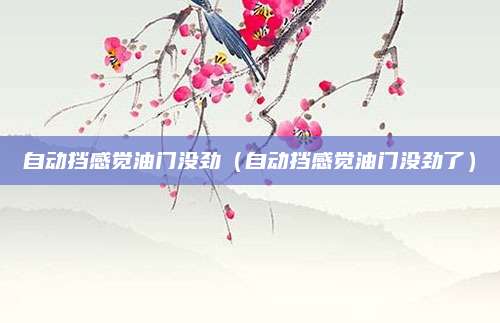 自动挡感觉油门没劲(自动挡感觉油门没劲了)