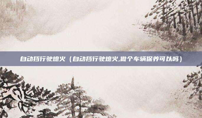 自动挡行驶熄火(自动挡行驶熄火,做个车辆保养可以吗)