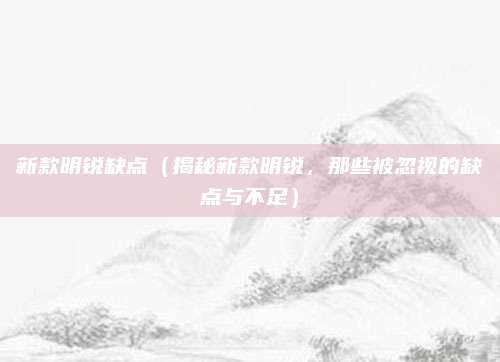 新款明锐缺点(揭秘新款明锐,那些被忽视的缺点与不足)