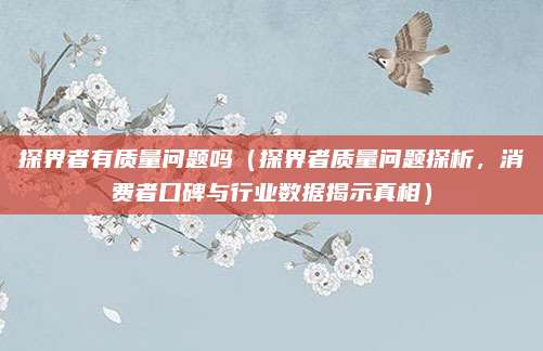 探界者有质量问题吗(探界者质量问题探析,消费者口碑与行业数据揭示真相)