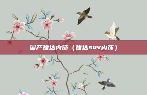 国产捷达内饰（捷达suv内饰）