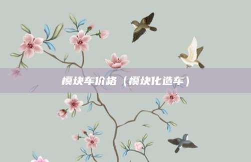 模块车价格(模块化造车)