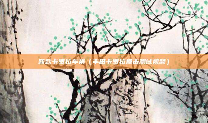 新款卡罗拉车祸(丰田卡罗拉撞击测试视频)