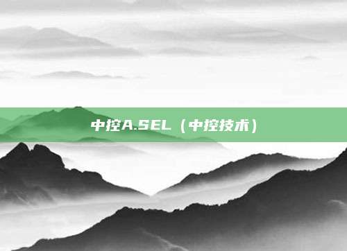 中控A.SEL(中控技术)