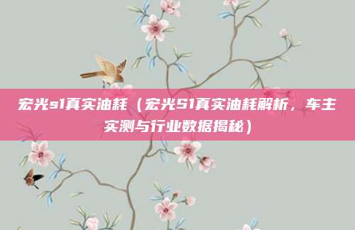 宏光s1真实油耗(宏光S1真实油耗解析,车主实测与行业数据揭秘)