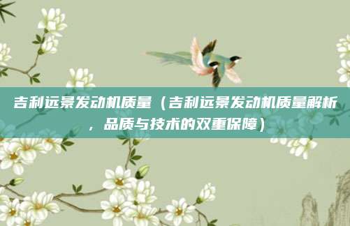 吉利远景发动机质量(吉利远景发动机质量解析,品质与技术的双重保障)