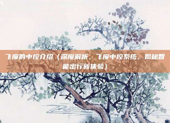 飞度的中控介绍(深度解析,飞度中控系统,揭秘智能出行新体验)