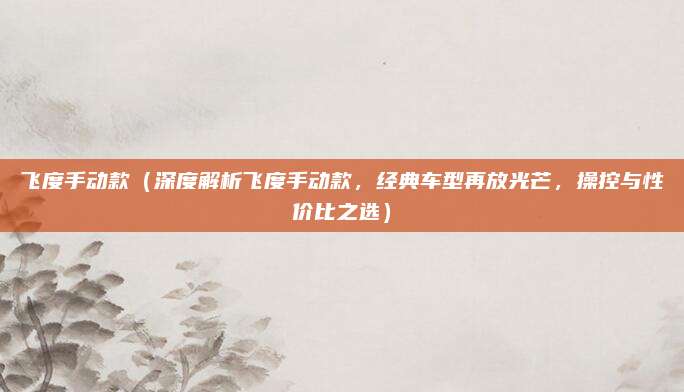 飞度手动款（深度解析飞度手动款，经典车型再放光芒，操控与性价比之选）