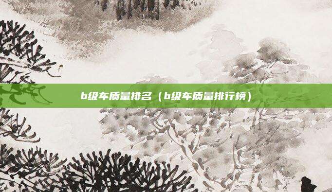 b级车质量排名(b级车质量排行榜)