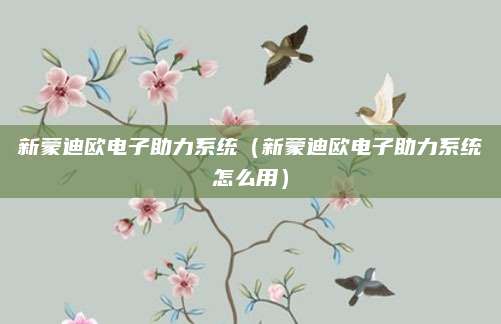 新蒙迪欧电子助力系统(新蒙迪欧电子助力系统怎么用)