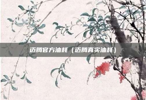 迈腾官方油耗(迈腾真实油耗)