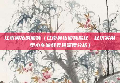 江南奥拓的油耗（江南奥拓油耗揭秘，经济实用型小车油耗表现深度分析）