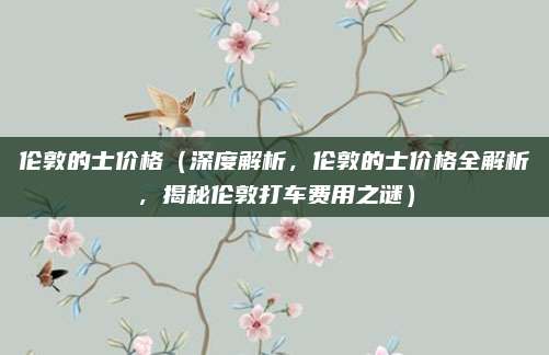 伦敦的士价格（深度解析，伦敦的士价格全解析，揭秘伦敦打车费用之谜）