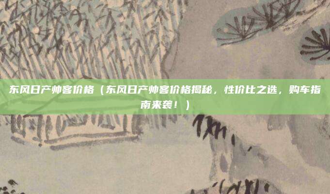东风日产帅客价格（东风日产帅客价格揭秘，性价比之选，购车指南来袭！）