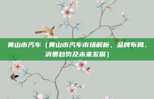 黄山市汽车(黄山市汽车市场解析,品牌布局、消费趋势及未来发展)
