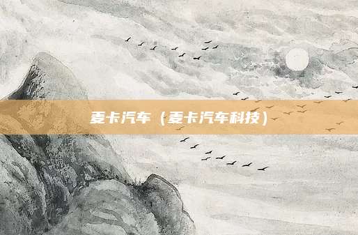 麦卡汽车(麦卡汽车科技)