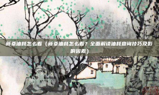 新桑油耗怎么看(新桑油耗怎么看?全面解读油耗查询技巧及影响因素)