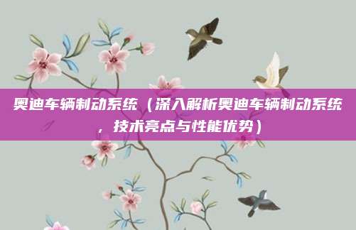 奥迪车辆制动系统(深入解析奥迪车辆制动系统,技术亮点与性能优势)