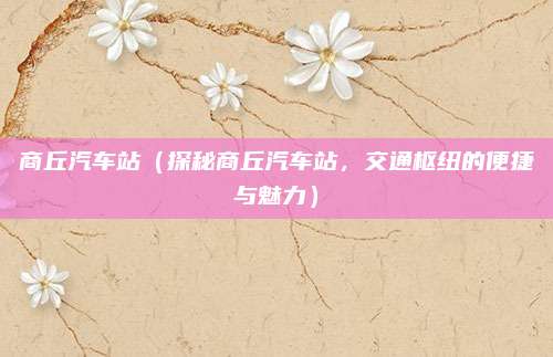 商丘汽车站(探秘商丘汽车站,交通枢纽的便捷与魅力)