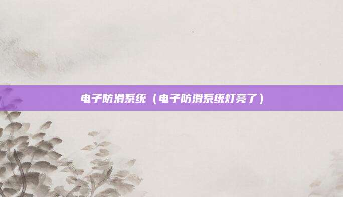 电子防滑系统(电子防滑系统灯亮了)