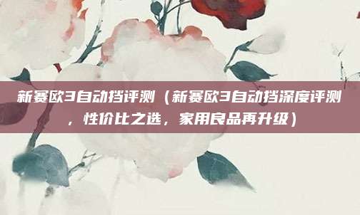 新赛欧3自动挡评测（新赛欧3自动挡深度评测，性价比之选，家用良品再升级）