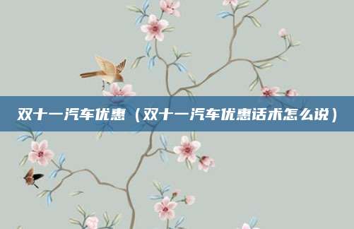 双十一汽车优惠(双十一汽车优惠话术怎么说)