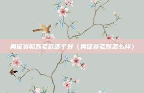 奥德赛新款老款哪个好(奥德赛老款怎么样)