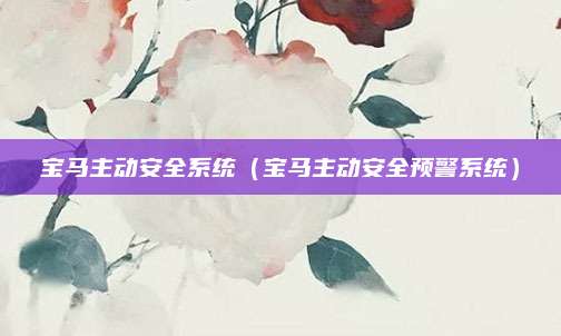 宝马主动安全系统(宝马主动安全预警系统)