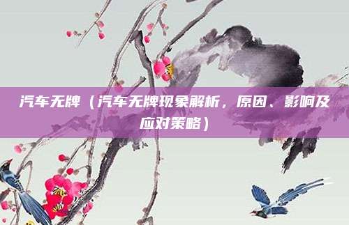 汽车无牌（汽车无牌现象解析，原因、影响及应对策略）