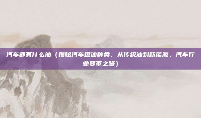 汽车都有什么油（揭秘汽车燃油种类，从传统油到新能源，汽车行业变革之路）