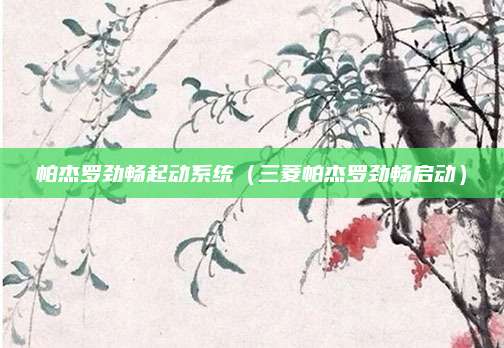 帕杰罗劲畅起动系统(三菱帕杰罗劲畅启动)