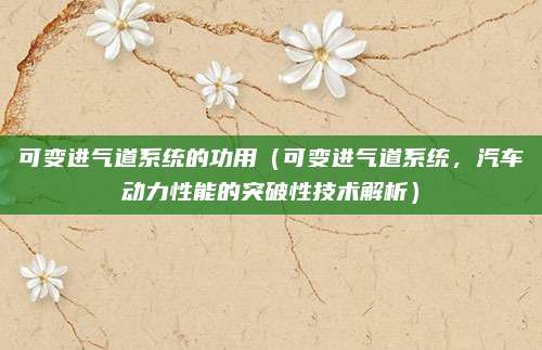 可变进气道系统的功用(可变进气道系统,汽车动力性能的突破性技术解析)