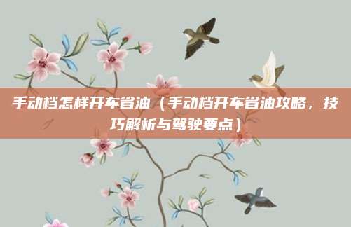 手动档怎样开车省油(手动档开车省油攻略,技巧解析与驾驶要点)