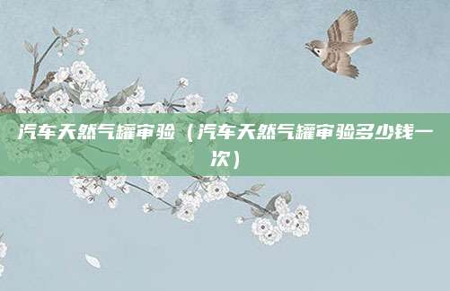汽车天然气罐审验(汽车天然气罐审验多少钱一次)