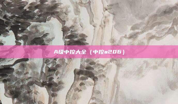 A级中控大全(中控a206)