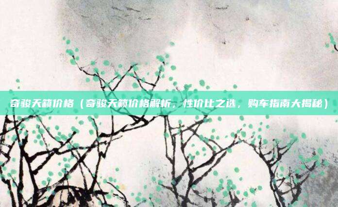 奇骏天籁价格(奇骏天籁价格解析,性价比之选,购车指南大揭秘)