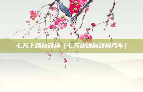 七万上路自动挡(七万块钱自动挡汽车)