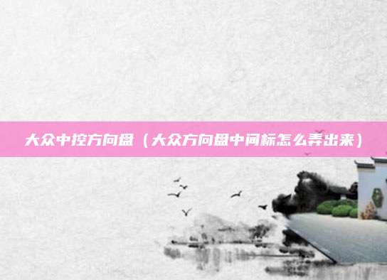 大众中控方向盘(大众方向盘中间标怎么弄出来)