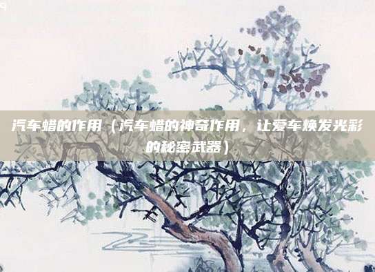 汽车蜡的作用（汽车蜡的神奇作用，让爱车焕发光彩的秘密武器）