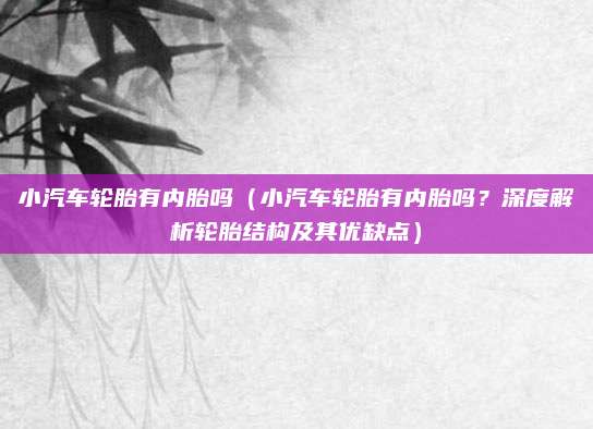 小汽车轮胎有内胎吗(小汽车轮胎有内胎吗?深度解析轮胎结构及其优缺点)