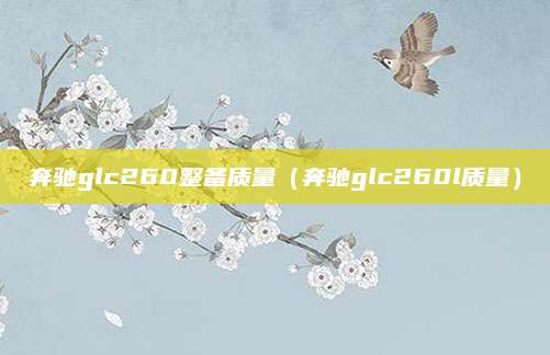 奔驰glc260整备质量(奔驰glc260l质量)