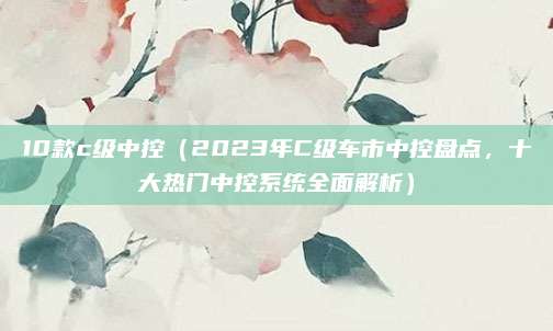 10款c级中控(2023年C级车市中控盘点,十大热门中控系统全面解析)