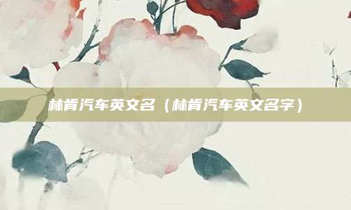 林肯汽车英文名(林肯汽车英文名字)