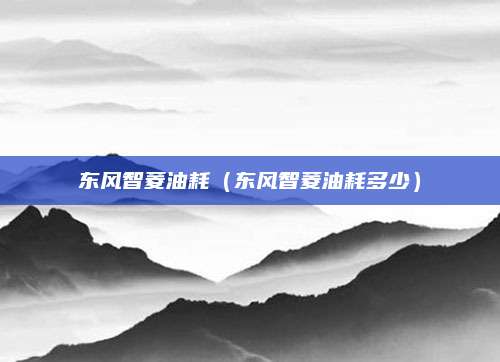 东风智菱油耗(东风智菱油耗多少)