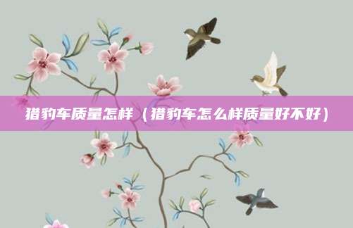 猎豹车质量怎样（猎豹车怎么样质量好不好）