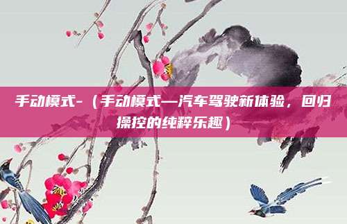 手动模式-(手动模式—汽车驾驶新体验,回归操控的纯粹乐趣)