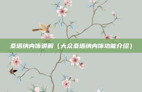 桑塔纳内饰讲解(大众桑塔纳内饰功能介绍)