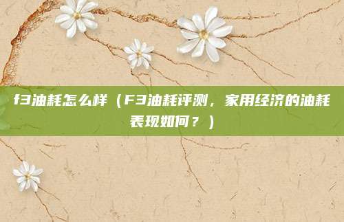 f3油耗怎么样(F3油耗评测,家用经济的油耗表现如何?)